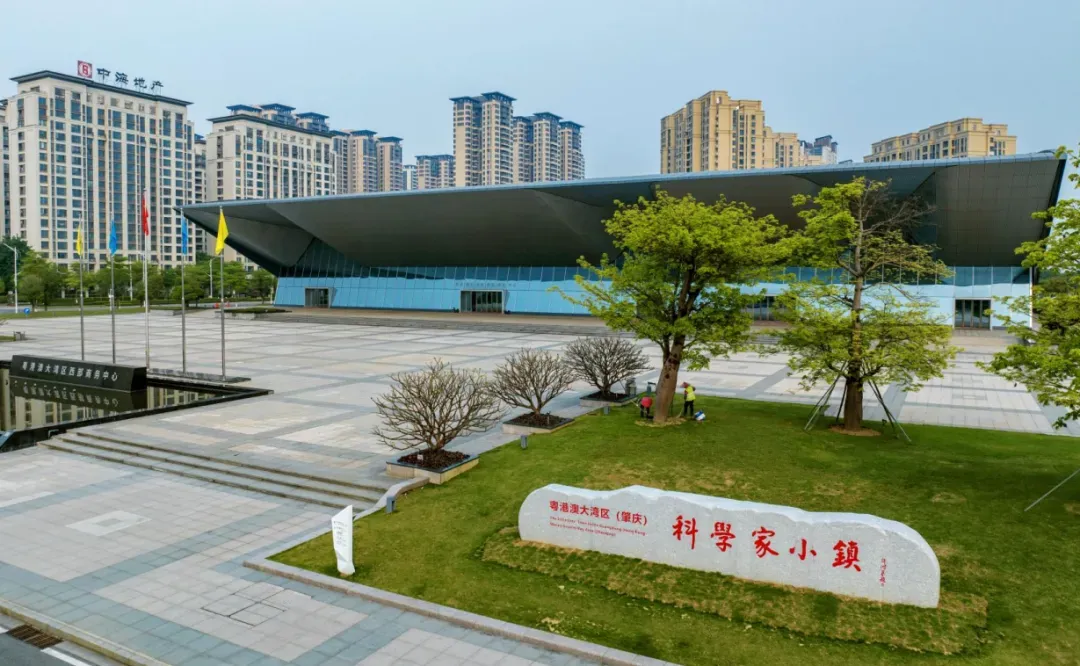 91微操盘 以才兴城、以赛旺城！一幅湾区新画卷正在肇庆新区徐徐展开