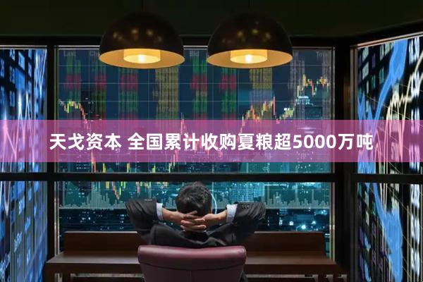天戈资本 全国累计收购夏粮超5000万吨