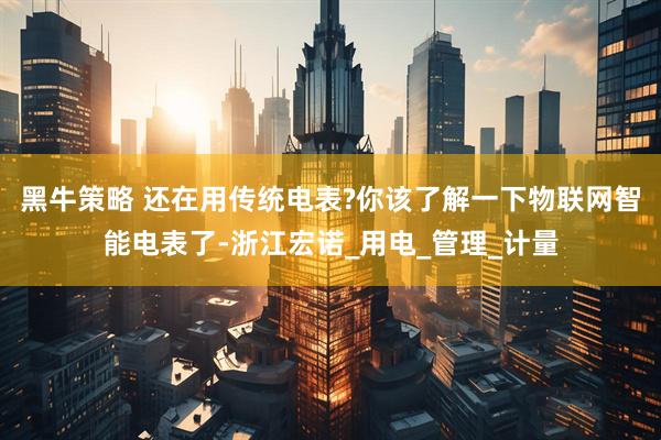 黑牛策略 还在用传统电表?你该了解一下物联网智能电表了-浙江宏诺_用电_管理_计量